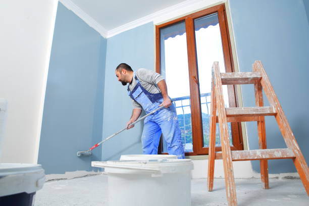 Best Mold Odor Removal Services  in Pinckney, MI