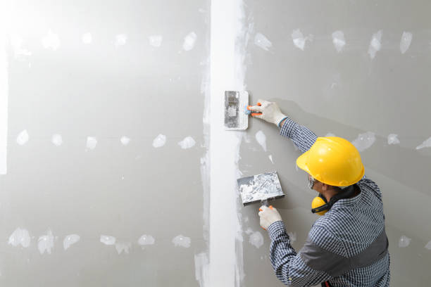 Best Mold Damage Restoration  in Pinckney, MI