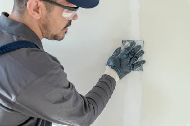 Best Attic Mold Removal  in Pinckney, MI