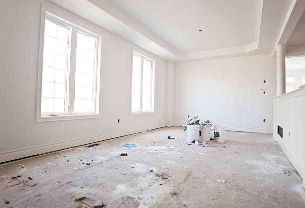 Best Basement Mold Removal  in Pinckney, MI